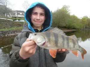 stay-perch-fishing-camps-kids