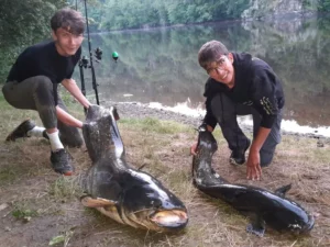 wels-catfish-fishing-stay-teenagers