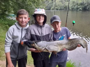 wels-catfish-camp-live-bait-kids